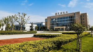 安徽昊源1500萬大卡導(dǎo)熱油爐項目